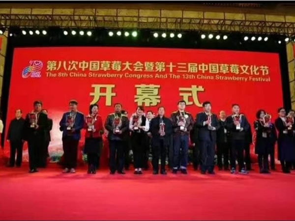 江苏客户使用同凯激光植物补光灯荣获大奖