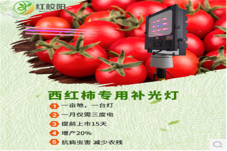 6373b7d802dec8c7057e35e25466cbc_副本.png