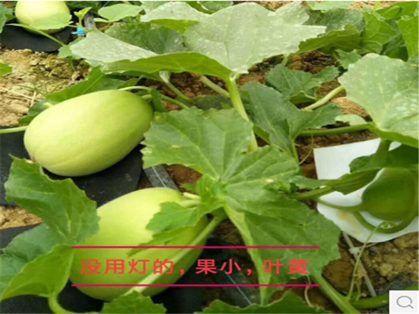 27999ec063660ce8be20319cd77d91c.png