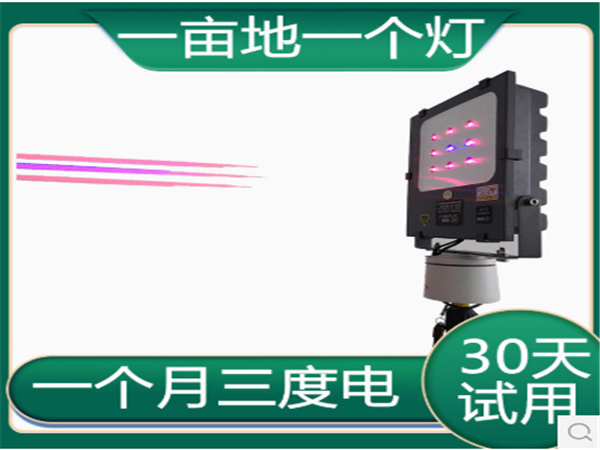 红皎阳大棚补光灯的效果到底好不好？来一起
