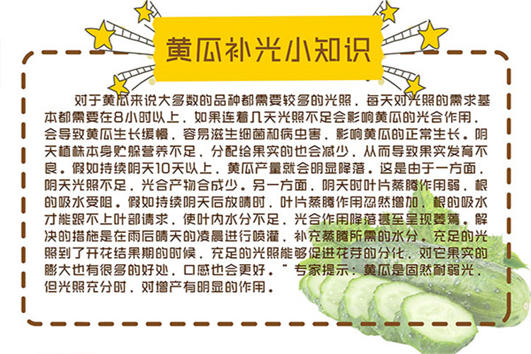 灯11.jpg