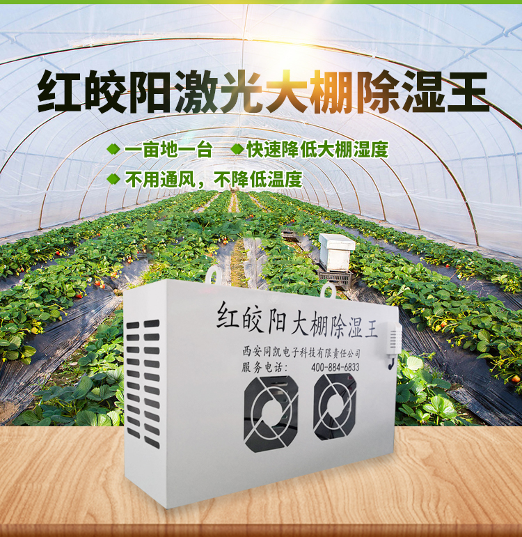 大棚排湿除了通风还有很多办法哦
