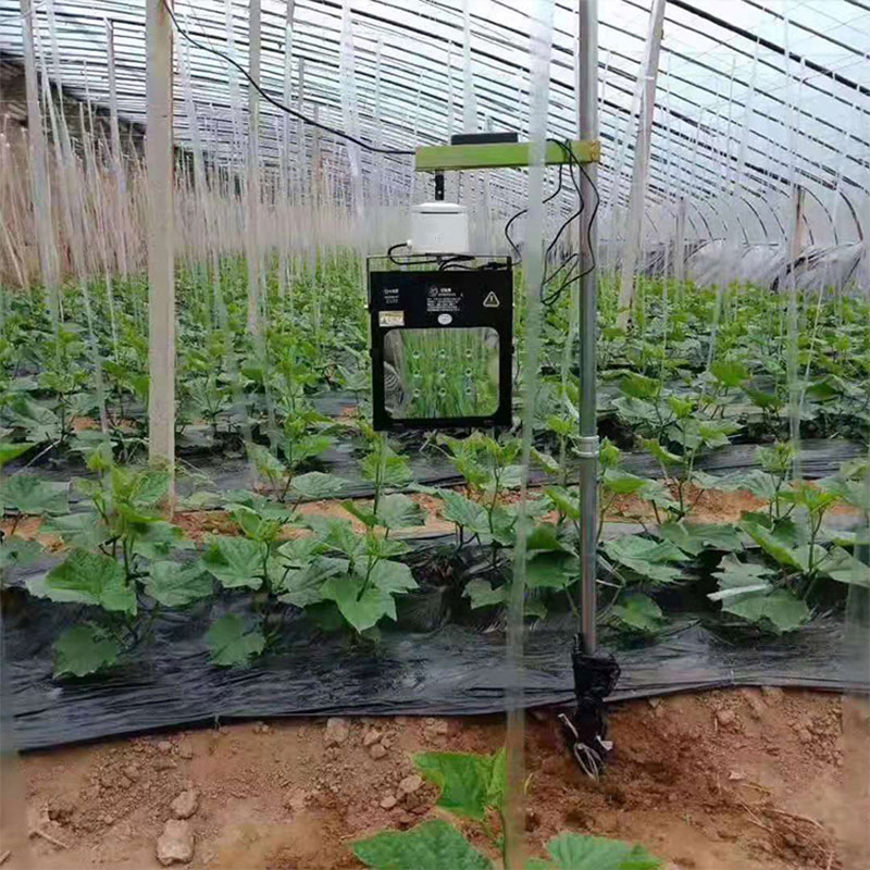 大棚蔬菜生长不好，原因大都是缺“光”，补光很重要